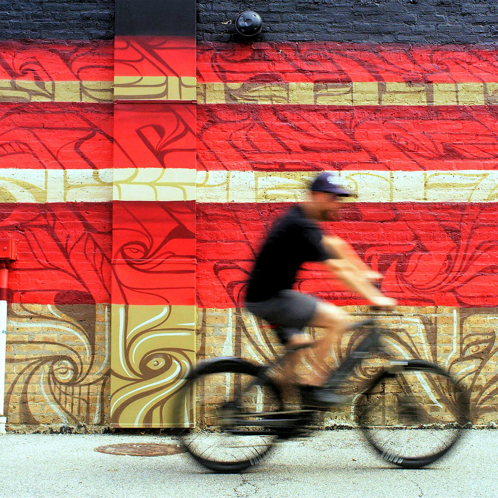 Electric Bicycle Commuting : A Smart Choice for Chicagoans